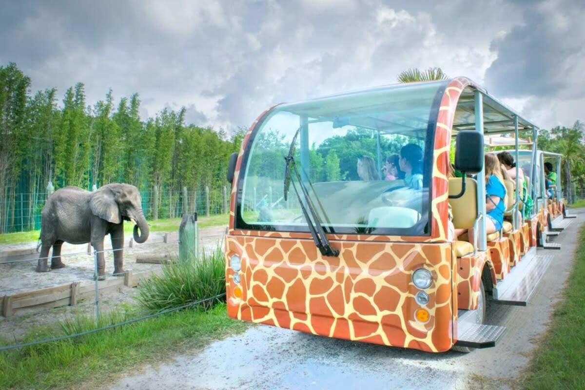 Budget Friendly Sleeps 8 Discounts Available Tampa Zewnętrze zdjęcie